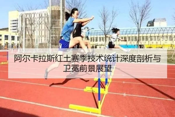 a-er-ka-la-si-hong-tu-sai-ji-ji-shu-tong-ji-shen-du-pou-xi-yu-wei-mian-qian-jing-zhan-wang-2-558.jpg