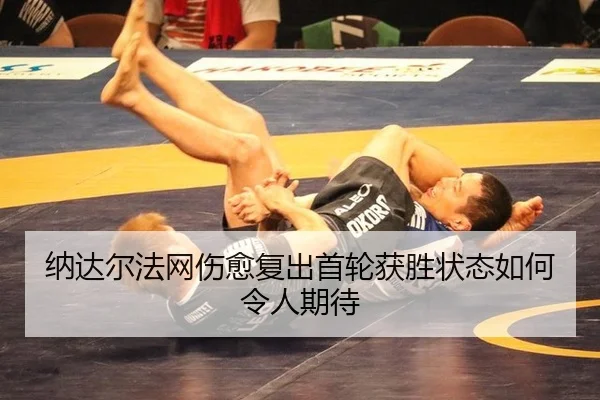 na-da-er-fa-wang-shang-yu-fu-chu-shou-lun-huo-sheng-zhuang-tai-ru-he-ling-ren-qi-dai-3-323.jpg