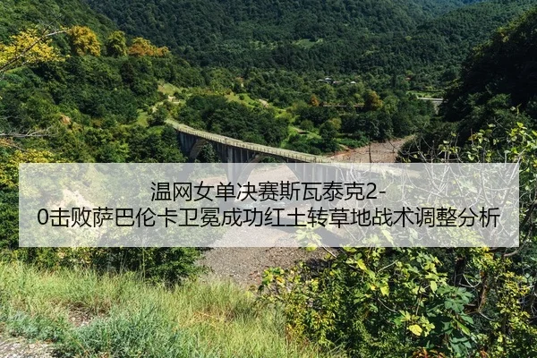 wen-wang-nv-dan-jue-sai-si-wa-tai-ke-ji-bai-sa-ba-lun-ka-wei-mian-cheng-gong-hong-tu-zhuan-cao-di-zhan-shu-tiao-zheng-2-172.jpg