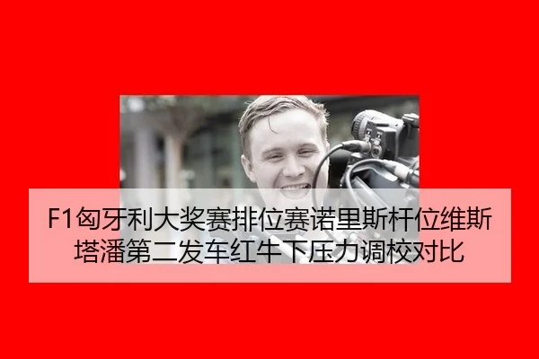 F1匈牙利大奖赛排位赛诺里斯杆位维斯塔潘第二发车红牛下压力调校对比